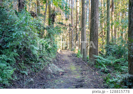 掛橋坂の風景(姶良市蒲生町) 掛橋坂の風景(姶良市蒲生町) 128815778