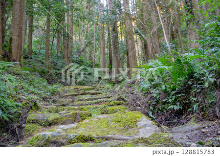 掛橋坂の風景(姶良市蒲生町) 掛橋坂の風景(姶良市蒲生町) 128815783