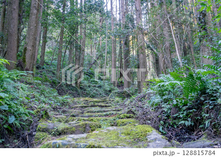 掛橋坂の風景(姶良市蒲生町) 掛橋坂の風景(姶良市蒲生町) 128815784