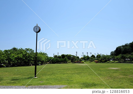 日野中央公園 128816053