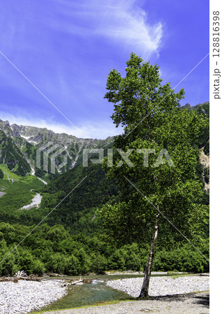夏の上高地と穂高連峰の絶景を望む清流と緑の風景 夏の上高地と穂高連峰の絶景を望む清流と緑の風景 128816398