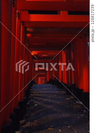 1000 red Torii gates in Kyoto 日本の古い神社境内に続く赤い鳥居の坂道 1000 red Torii gates in Kyoto 日本の古い神社境内に続く赤い鳥居の坂道 128817239