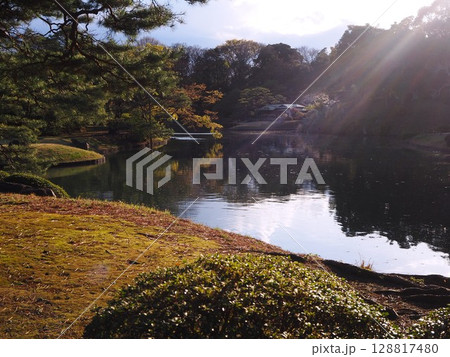 夕暮れの六義園大泉水の岸辺にたたずむ吹上茶屋 夕暮れの六義園大泉水の岸辺にたたずむ吹上茶屋 128817480