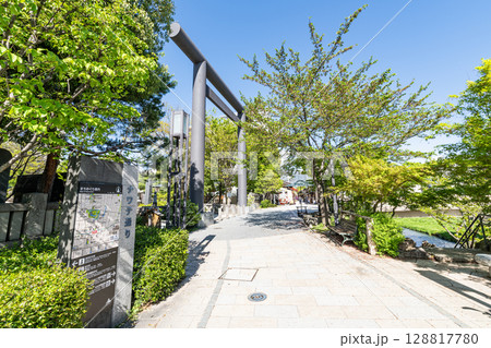 長野県松本市　なわて通りと四柱神社大鳥居 128817780