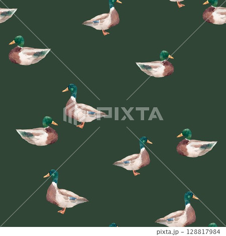 Seamless pattern with watercolor ducks hand drawn mallard birds on white background for kids wallpaper and fabric Seamless pattern with watercolor ducks hand drawn mallard birds on white background for kids wallpaper and fabric 128817984