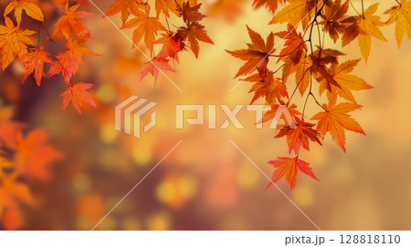 Maple tree branch background with yellow, red and orange leaves on blurred background with particles and bokeh 128818110