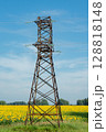 Electricity tower standing in a field of sunflowers against a clear sky 128818148