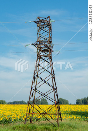 Electricity tower standing in a field of sunflowers against a clear sky 128818148