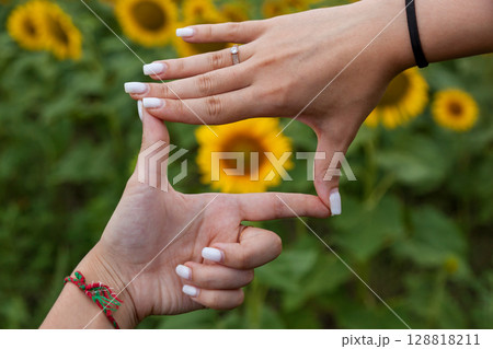Female hands on the background of sunflower flowers close-up 128818211