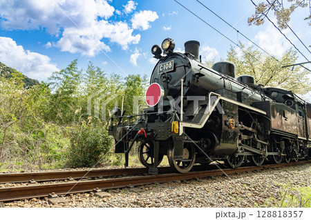 静岡県家山 大井川鐵道の蒸気機関車と桜 静岡県家山 大井川鐵道の蒸気機関車と桜 128818357