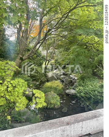 新緑に映える苔むす庭 128818499