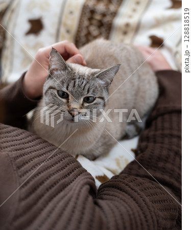 ネコを抱く ネコを抱く 128818519