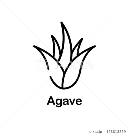 Aloe vera plant with leaves flat vector icon for apps and websites Aloe vera plant with leaves flat vector icon for apps and websites 128818839