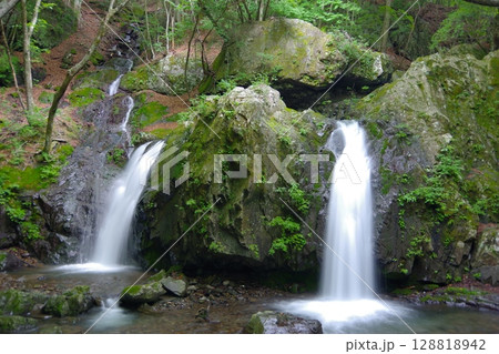長野県佐久穂町にある乙女の滝 長野県佐久穂町にある乙女の滝 128818942