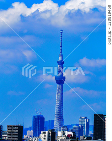 夏空とスカイツリーのある風景 夏空とスカイツリーのある風景 128819469