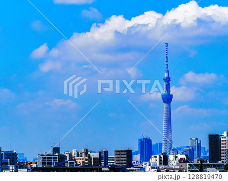 夏空とスカイツリーのある風景 夏空とスカイツリーのある風景 128819470