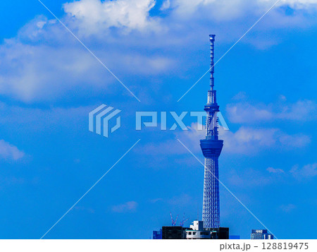 夏空とスカイツリーのある風景 夏空とスカイツリーのある風景 128819475