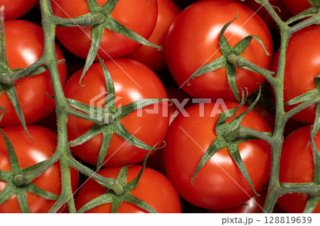 Freshly Picked Tomatoes on Vine Close-Up Freshly Picked Tomatoes on Vine Close-Up 128819639