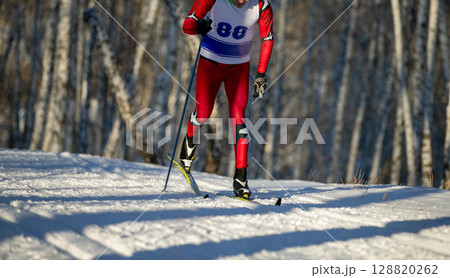 skier goes classic style in birch forest at ski racing competition 128820262