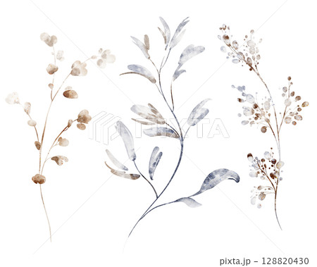Dry Plants Watercolor Clipart Set on White Background 128820430
