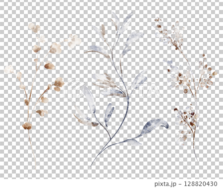 Dry Plants Watercolor Clipart Set on White Background 128820430