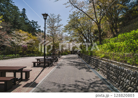 袋井市の法多山尊永寺の参道の風景(静岡県) 袋井市の法多山尊永寺の参道の風景(静岡県) 128820803
