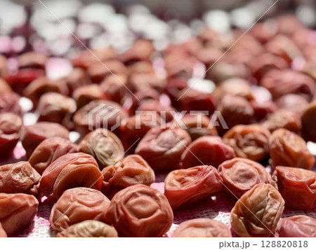 天日干しされている梅干し 天日干しされている梅干し 128820818