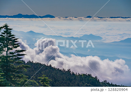 （群馬県）渋峠の樹林と雲海 128820904