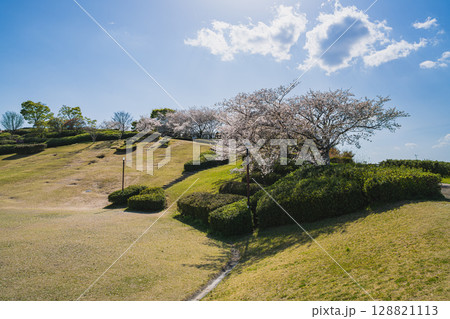 袋井市の愛野公園の風景(静岡県) 128821113