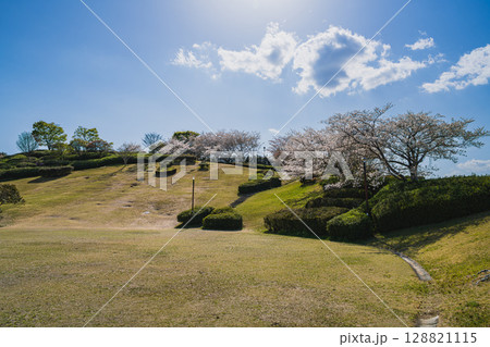 袋井市の愛野公園の風景(静岡県) 128821115