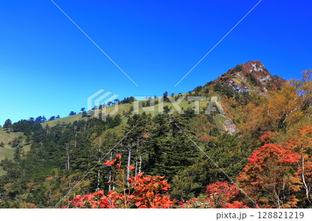 【愛媛県】紅葉した秋の瓶ヶ森（石鎚山） 128821219