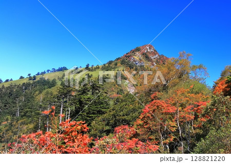 【愛媛県】紅葉した秋の瓶ヶ森(石鎚山) 【愛媛県】紅葉した秋の瓶ヶ森(石鎚山) 128821220