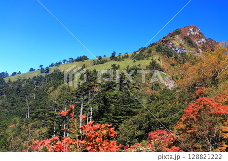 【愛媛県】紅葉した秋の瓶ヶ森（石鎚山） 128821222