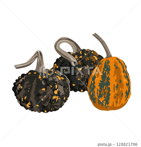 Funny small decorative pimpled pumpkin composition isolated on white. Pimply and warty gourd vector drawing illustration. Funny small decorative pimpled pumpkin composition isolated on white. Pimply and warty gourd vector drawing illustration. 128821706