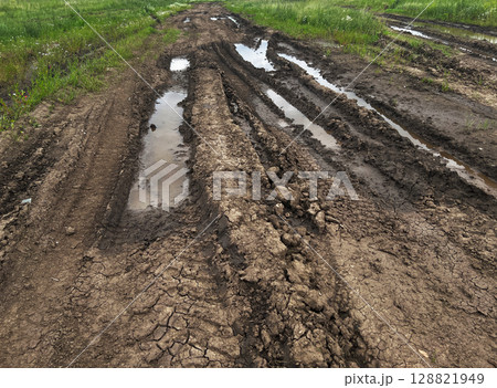 Muddy dirt road with deep tire tracks and puddles, surrounded by lush green grass and wildflowers,effects of rain on rural landscapes and nature's resilience Muddy dirt road with deep tire tracks and puddles, surrounded by lush green grass and wildflowers,effects of rain on rural landscapes and nature's resilience 128821949
