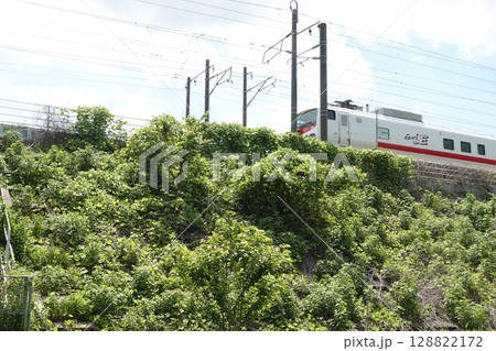 観測用電車「East i-E」 観測用電車「East i-E」 128822172