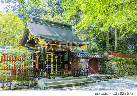 絢爛豪華な瑞鳳殿 絢爛豪華な瑞鳳殿 128822672