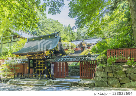 絢爛豪華な瑞鳳殿 絢爛豪華な瑞鳳殿 128822694