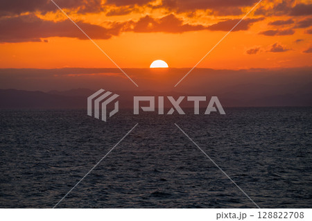 【東京九州フェリー新門司港行はまゆうと横須賀港行きそれいゆとの離合】 128822708