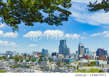 初夏の仙台市全景 128823071