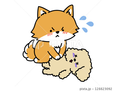 心臓マッサージをする柴犬さんと心肺停止のプードルさん 128823092