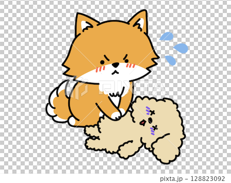 心臓マッサージをする柴犬さんと心肺停止のプードルさん 128823092