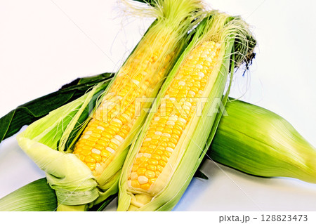 とうもろこし(ドルチェドリーム) とうもろこし(ドルチェドリーム) 128823473