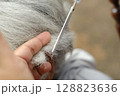 Scissors are cutting the gray hair of an elderly person. 128823636