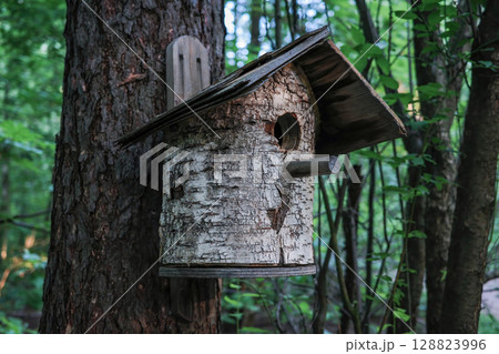 A birdhouse made of birch wood is hanging from a tree. The birdhouse is small and has a pointed roof A birdhouse made of birch wood is hanging from a tree. The birdhouse is small and has a pointed roof 128823996