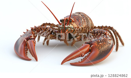 生きたザリガニ 生きたザリガニ 128824862