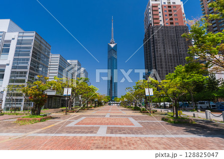 《福岡県》福岡タワー・シーサイドももち 《福岡県》福岡タワー・シーサイドももち 128825047