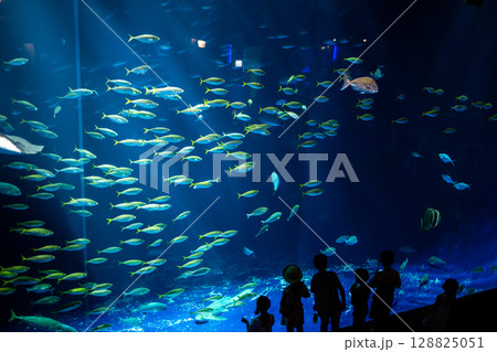 大水槽に広がる光と魚たちの幻想風景－水族館- 128825051
