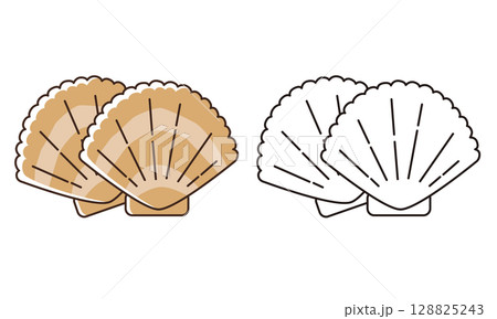 かわいいホタテの線画イラスト 128825243