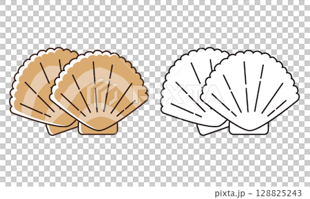 かわいいホタテの線画イラスト 128825243